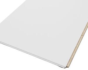 Elit plafondplaat 62x122cm