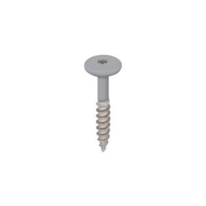 Torx schroef 32mm rvs V2A 100st - Basaltgrijs