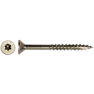 Schroef RVS TORX
