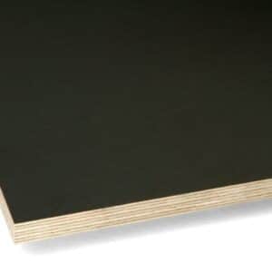 Populieren betonplex 125x250cm