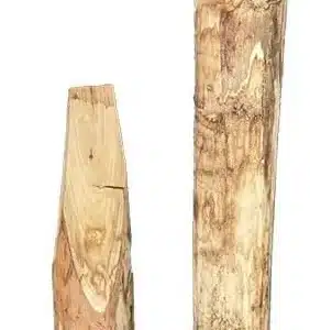 Kastanje palen gepunt 10cm/12cm gepunt